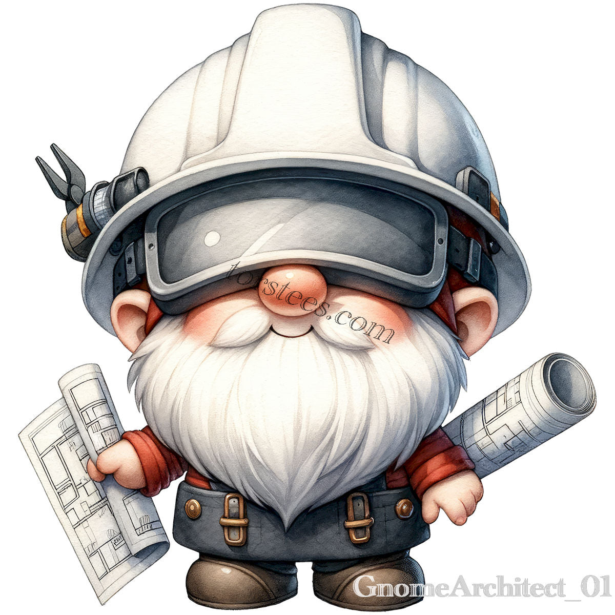 Gnome Architect 01