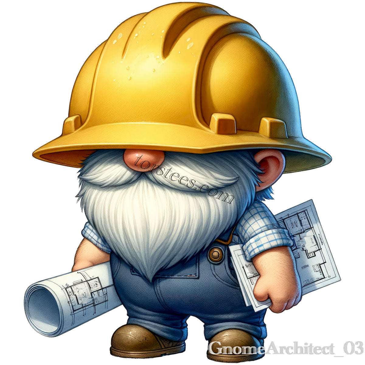 Gnome Architect 03