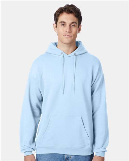 Hanes Unisex EcoSmart® Hooded Sweatshirt P170