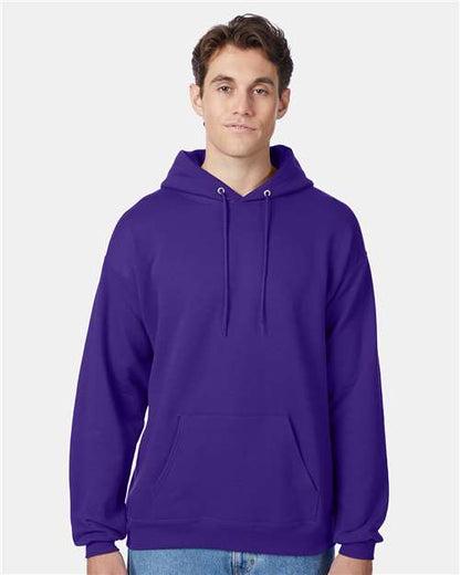 Hanes Unisex EcoSmart® Hooded Sweatshirt P170