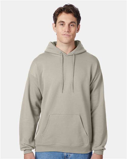 Hanes Unisex EcoSmart® Hooded Sweatshirt P170
